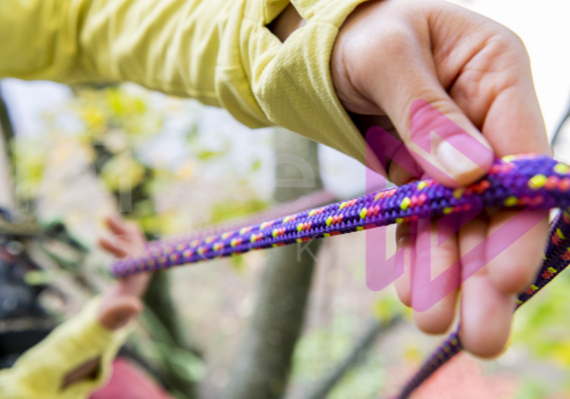 Female-hands-working-purple-rope-in-tree Female hands with pruple climbing rope