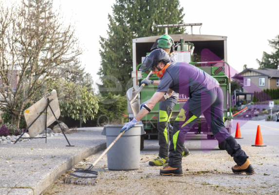 Fine clean up with rake Fine clean up with rake
