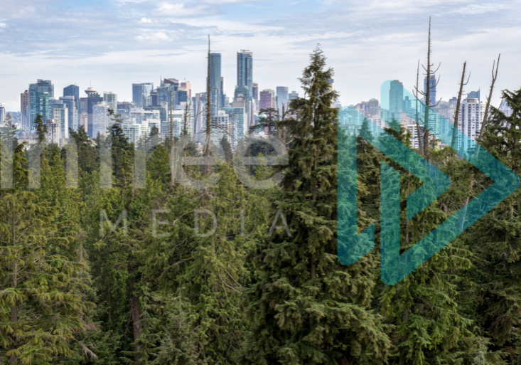 Vancouver Juxtaposition, a city almost dwarfed by trees in Stanley Park