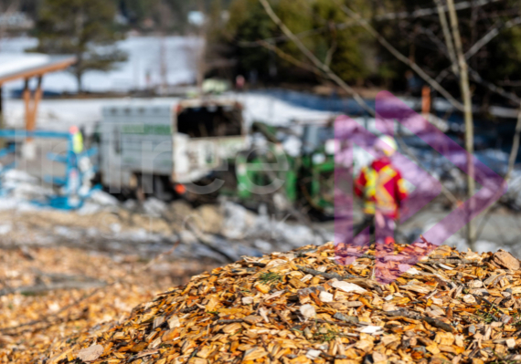 Fresh woodchip with chiptruck in background Fresh woodchip with chiptruck in background