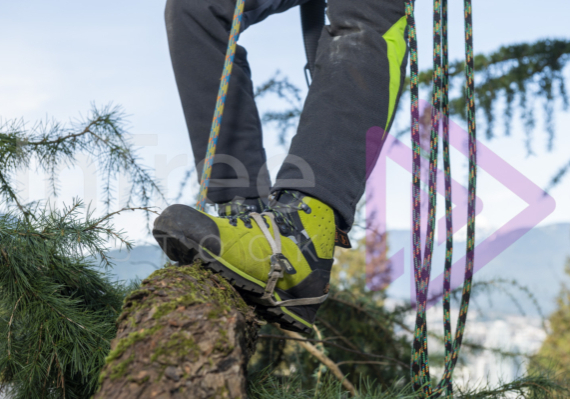 Green chainsaw boots standing on cedar branch Green chainsaw boots standing on cedar branch