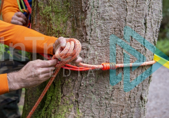 Arborist tying of an adjustable base anchor with a stopper knot