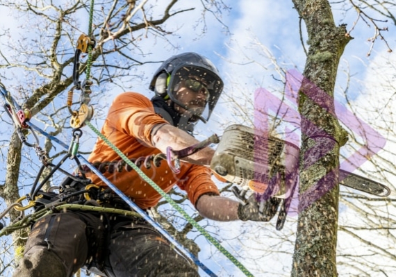 Male Arborist with top handle chainsaw spray sawdust Male Arborist with top handle chainsaw spray sawdust