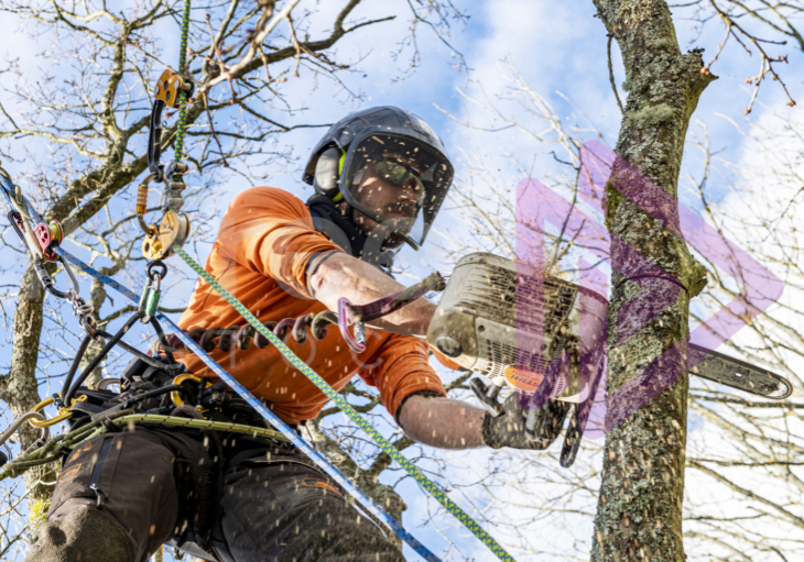 Male Arborist with top handle chainsaw spray sawdust Male Arborist with top handle chainsaw spray sawdust