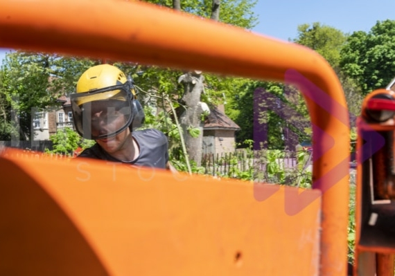 Man feeding wood chipper Man in yellow helmet with visor feeding wood chipper