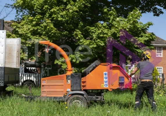 Man wearing yellow helmet feeding timberwolf chipper