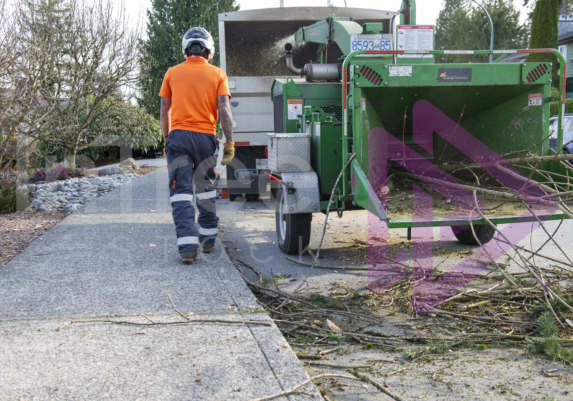 Man walking past wood chipper Man walking past wood chipper