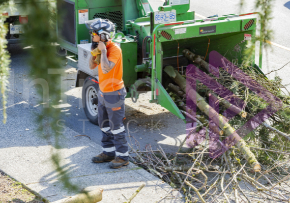Man wearing helmet standing next to wood chipper Man wearing helmet standing next to wood chipper