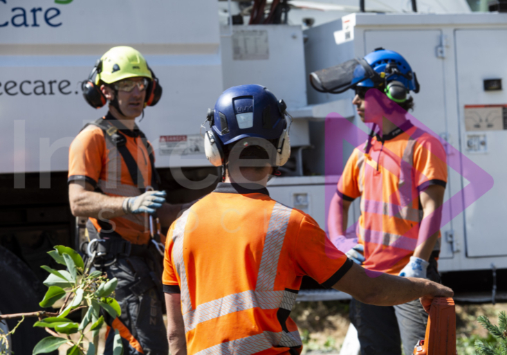 Men wearing hi-viz and protective equipment Men wearing hi-viz and protective equipment