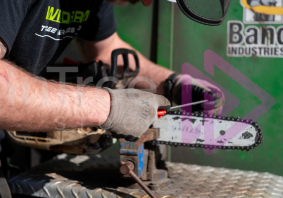 Sharpen top handle chainsaw Sharpen top handle chainsaw