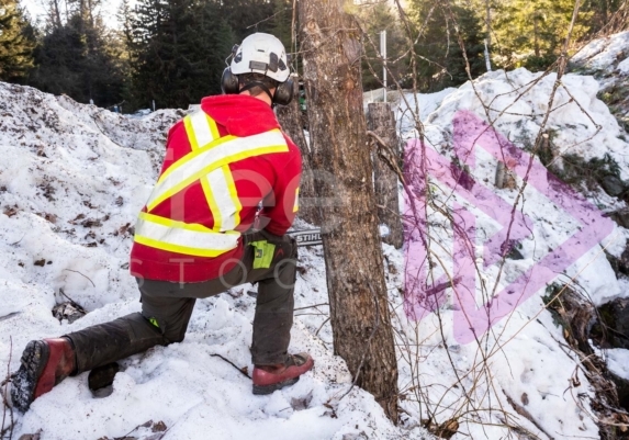 Tree felling from ground