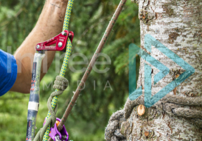 Climber on a stationary rope system with advanced rigging set-up of a controlled speed line