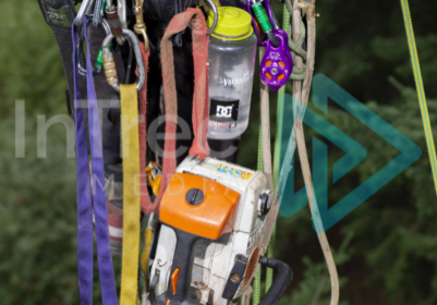 Stihl 201t hanging from a harness with other climbing gear