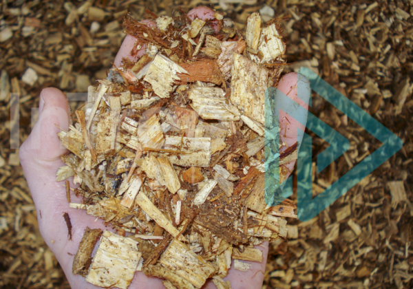 High quality woodchip in a hand with chip pile behind