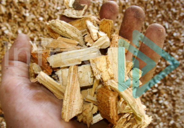 High quality woodchip in a hand with chip pile behind