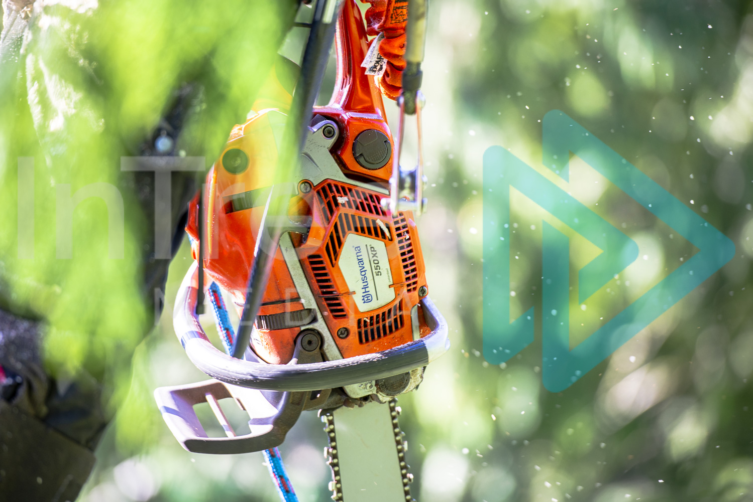 Chainsaw body with blurred background and sawdust particles
