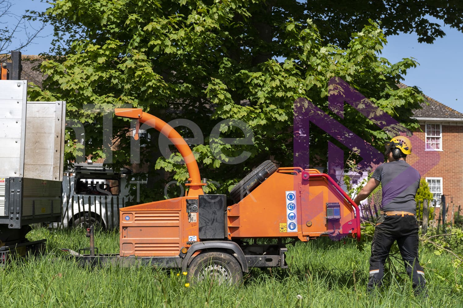 Man wearing yellow helmet feeding timberwolf chipper
