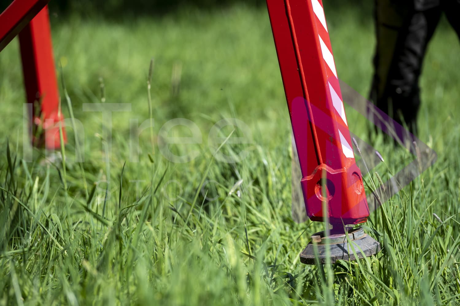 Spider lift leg in long green grass
