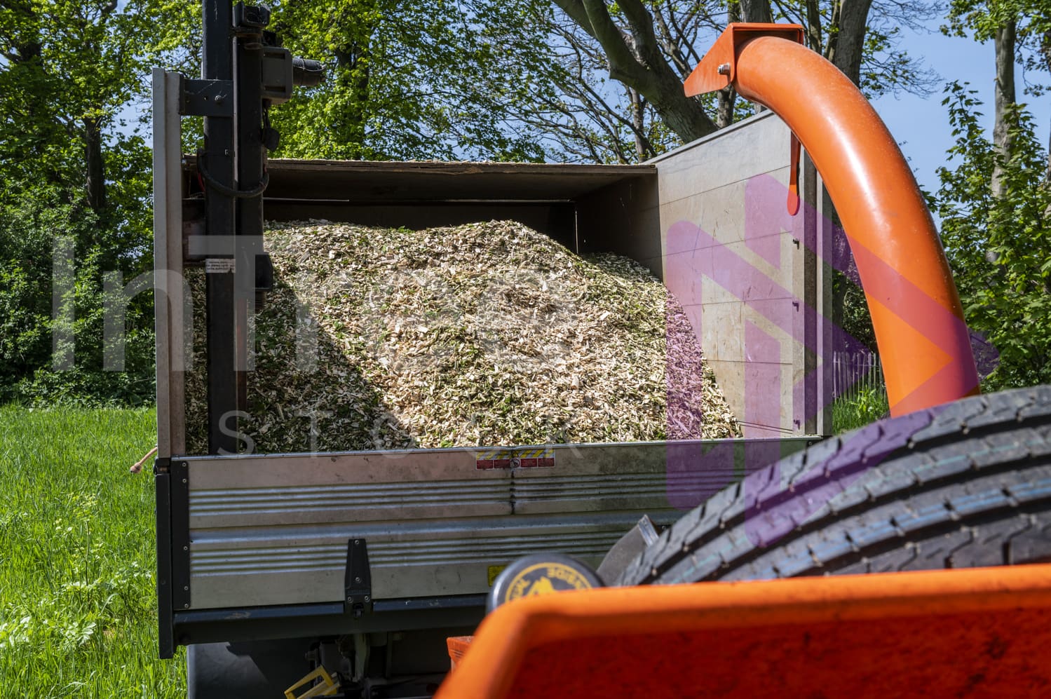 Wood chip in back of chip truck